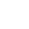 END CUSTOMER INSIGHTS